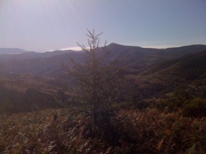 alto de cebreiro