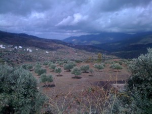 valle en el rif carretera de chefchaouen