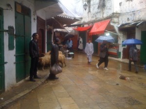 corderos en tetouan