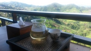 Té en Mae Salong